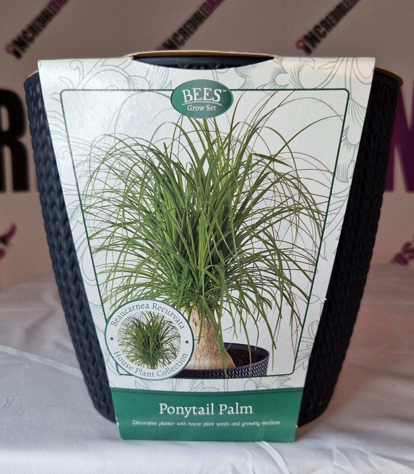 Bees: Ponytail palm grow set
