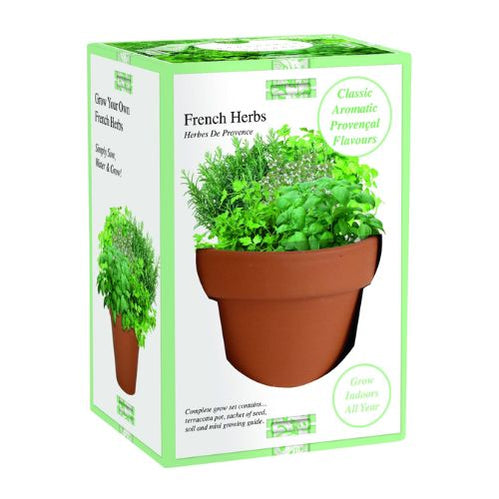 Grow your Own - French herbs grow set