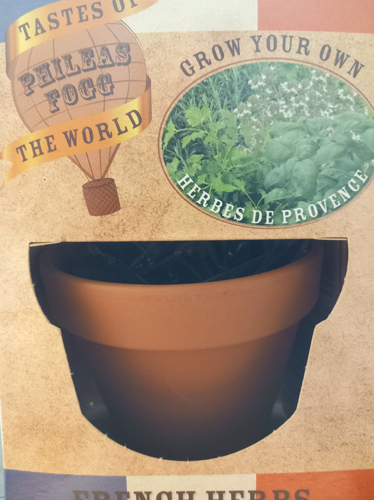 Phileas Fogg French herbs grow kit