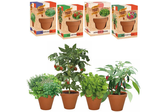 Phileas Fogg: Tomato plum Roma grow kit