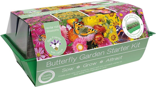 Bee friends - Butterfly garden starter kit