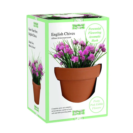 Grow Your Own - English chives grow set