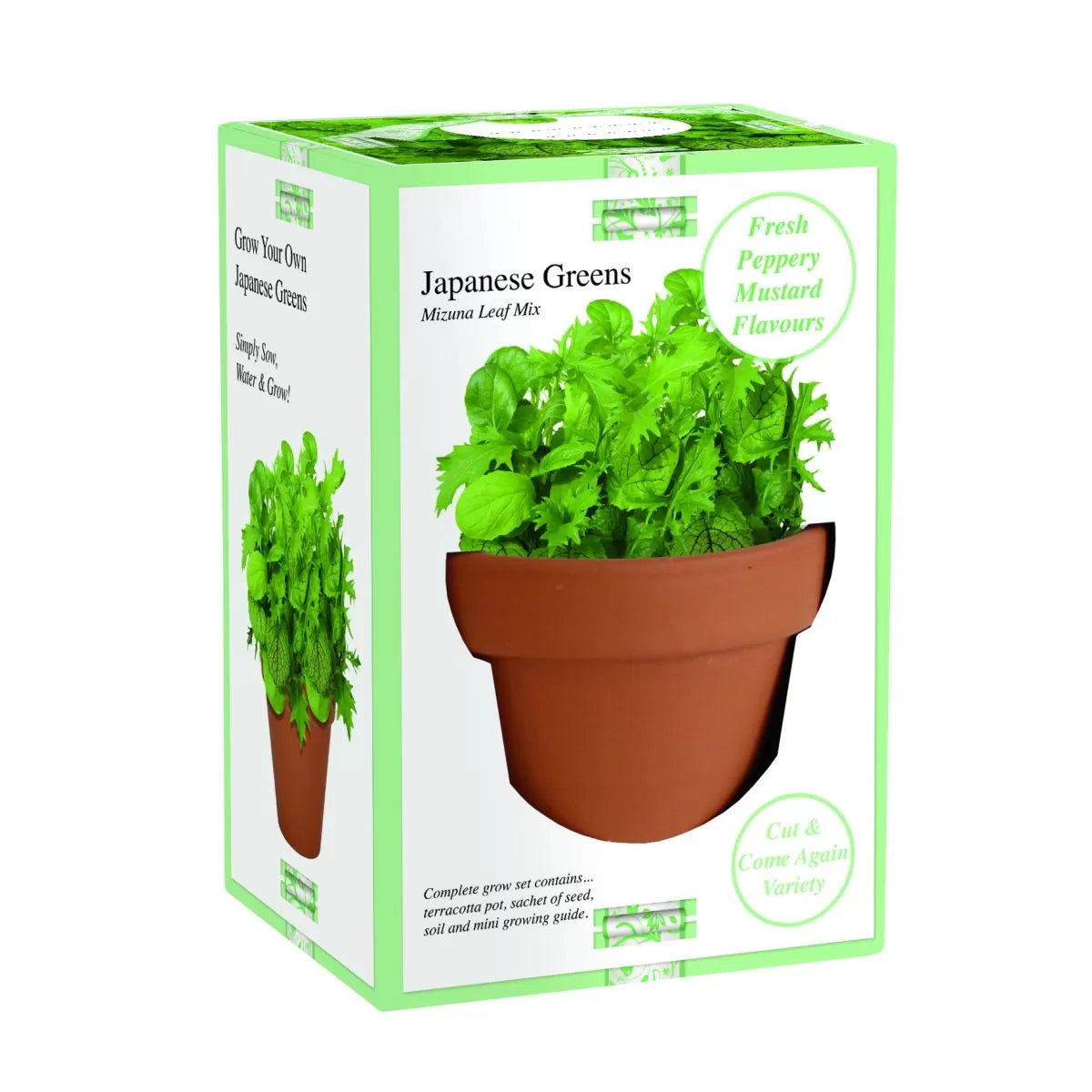 Grow Your Own - Japanese greens grow set