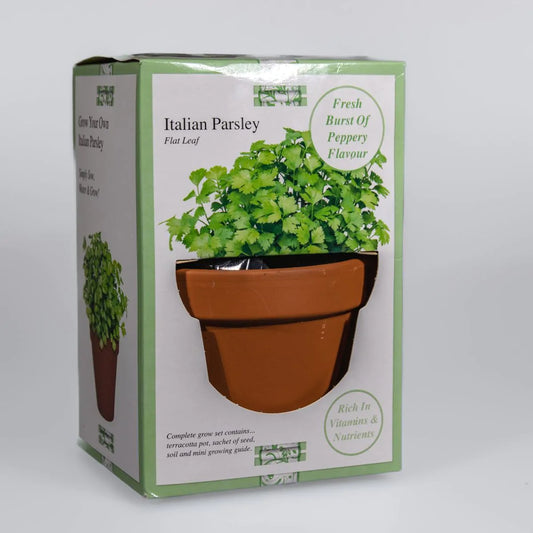 Grow Your Own : Parsley grow set